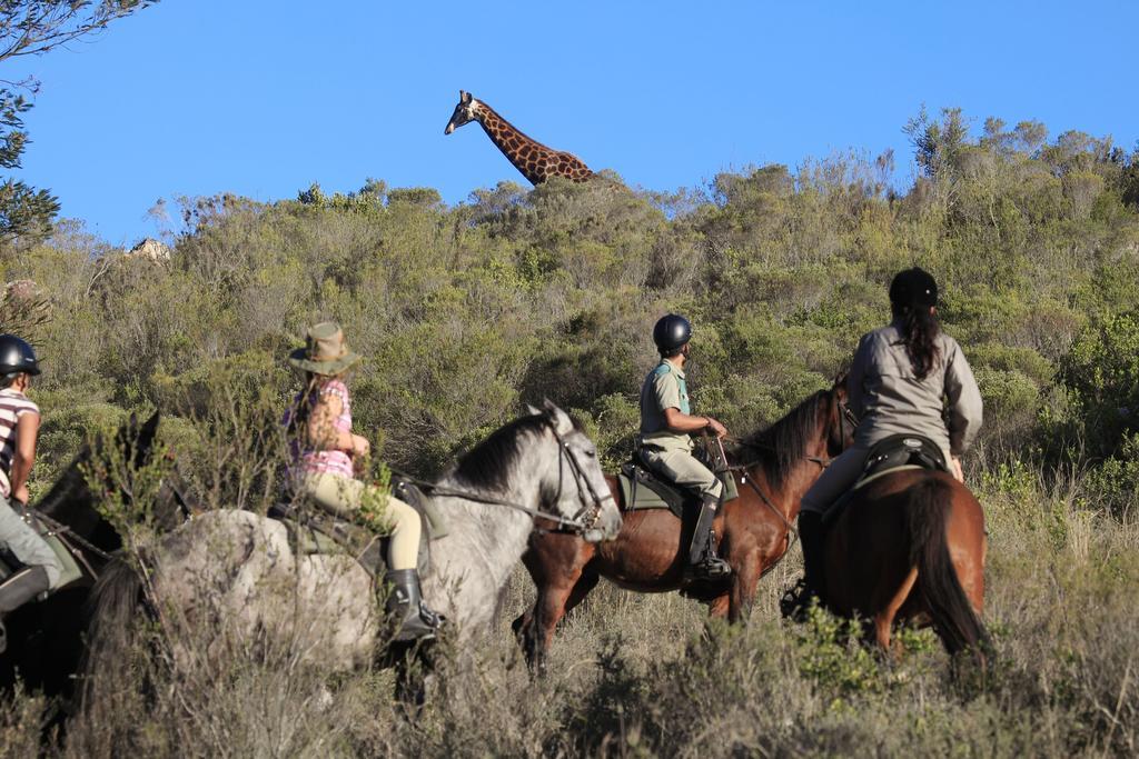 Botlierskop Private Game Reserve Reebok Exteriér fotografie