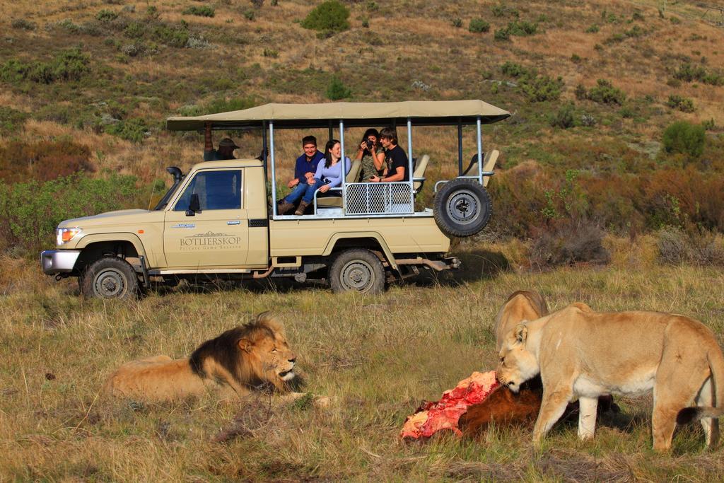 Botlierskop Private Game Reserve Reebok Exteriér fotografie