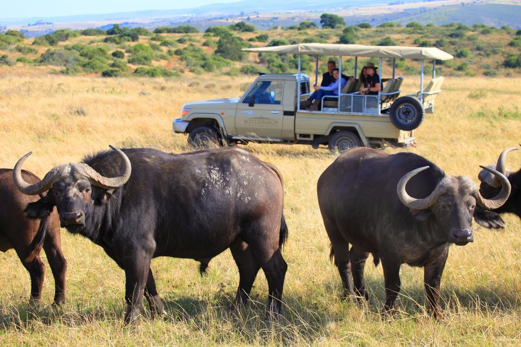 Botlierskop Private Game Reserve Reebok Exteriér fotografie